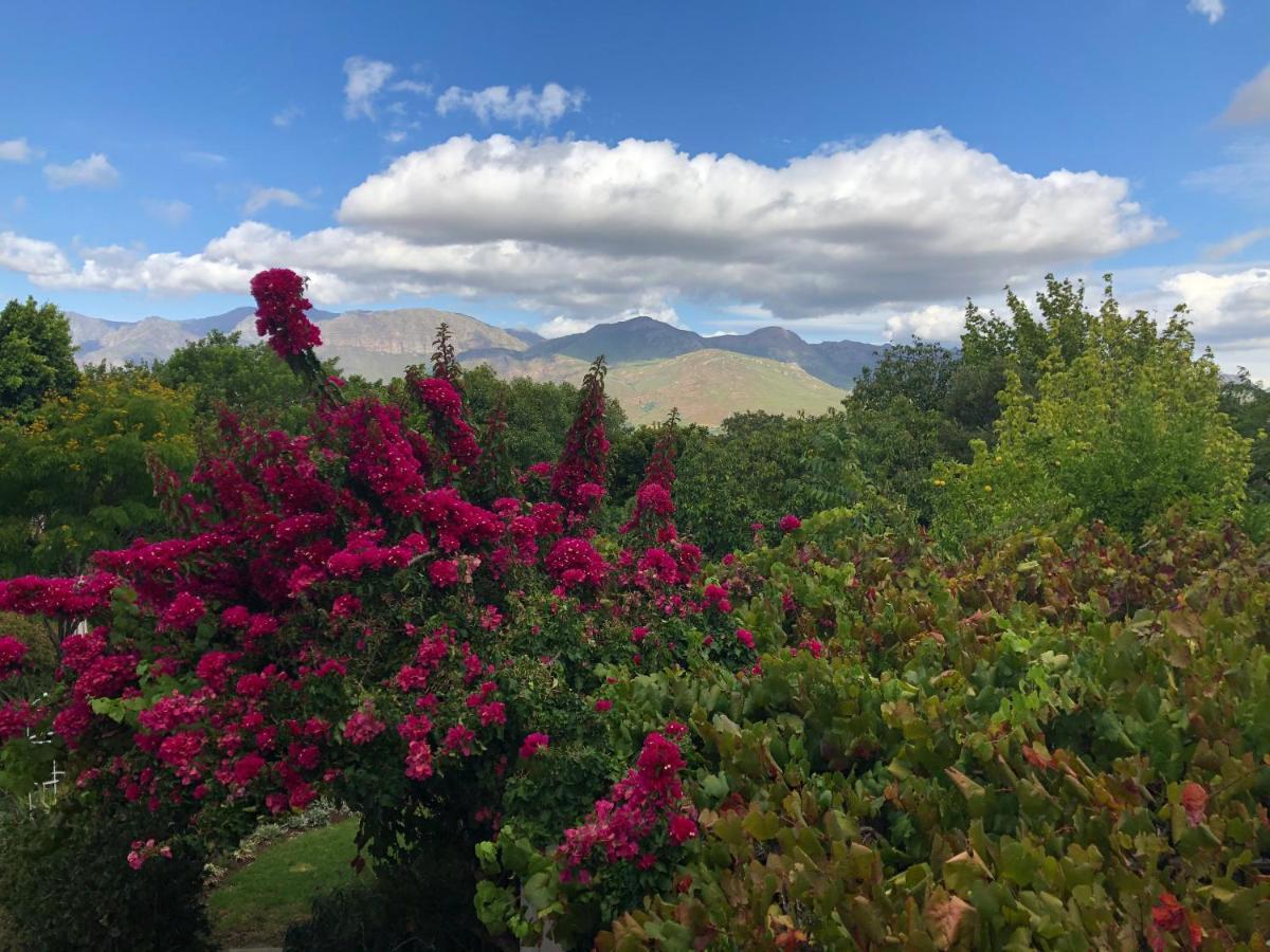 Alba House Guest House Paarl Exterior foto
